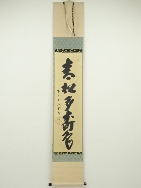 3013 藤井誡堂 「青松多寿色」 共箱 肉筆 臨済宗 大徳寺 道具 ] - 道具 前大徳藤井誡堂筆 「青松多寿色」一行書 肉筆紙本掛軸